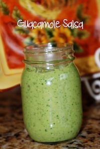 Guacamole Salsa